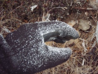 27年11月2日霧表の手袋-thumb-550x412-3503