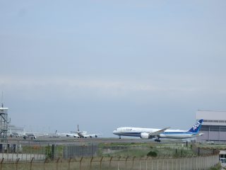 P5223165