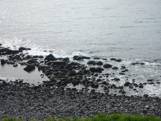 P5253169