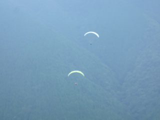 P7223293