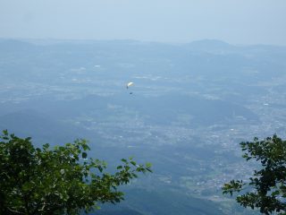 P7283293