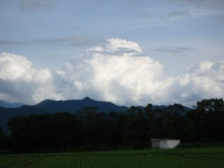 P7313300