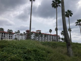 IMG_1132