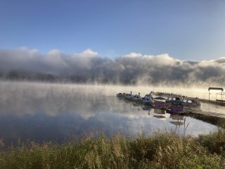 IMG_1174