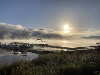 IMG_1175