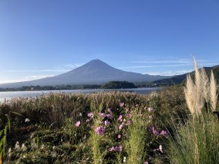 IMG_1178