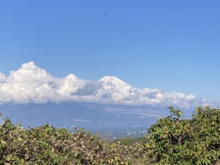 IMG_1213