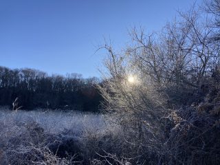 IMG_1242