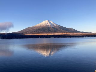 IMG_1231