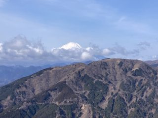 IMG_1297