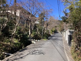 IMG_1308