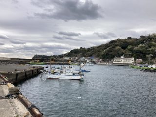 IMG_1377