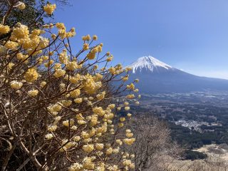 IMG_1401