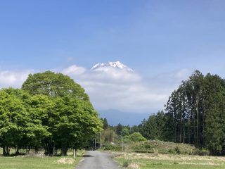 IMG_1455