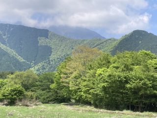 IMG_1459