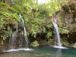 IMG_1469