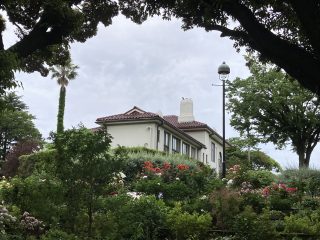 IMG_1481