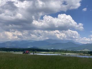 IMG_1533
