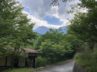 IMG_1535