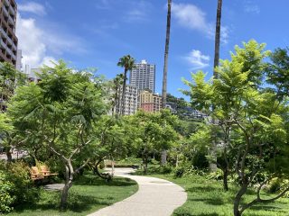 IMG_1554