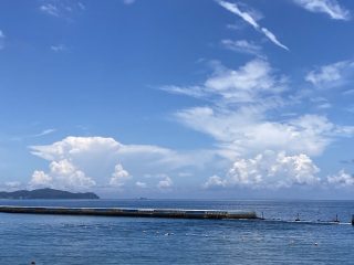 IMG_1563