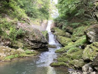 IMG_1595