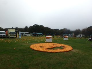 OLYMPUS DIGITAL CAMERA OLYMPUS DIGITAL CAMERA