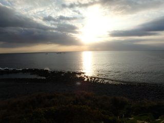 OLYMPUS DIGITAL CAMERA OLYMPUS DIGITAL CAMERA