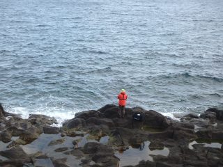 OLYMPUS DIGITAL CAMERA OLYMPUS DIGITAL CAMERA