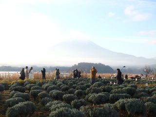 OLYMPUS DIGITAL CAMERA OLYMPUS DIGITAL CAMERA