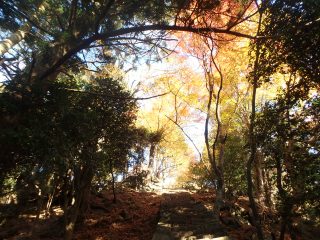 OLYMPUS DIGITAL CAMERA OLYMPUS DIGITAL CAMERA