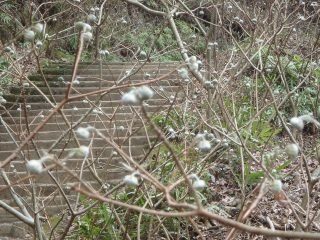 OLYMPUS DIGITAL CAMERA OLYMPUS DIGITAL CAMERA